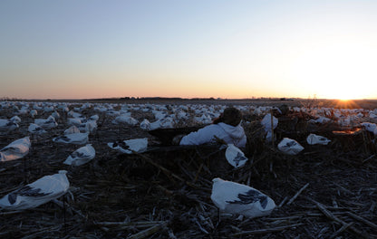 Decoys - Adult Snow (10 Dozen - Bulk Order Discount)